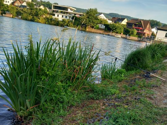 Stausee Obermaubach ALLE ANGELN