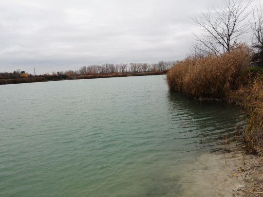 Baggersee Holzhausen Leipzig Alle Angeln