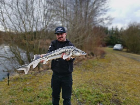 Parkplatz Fischen Feldkirchen Gemeinde Goldwrth Sterreich