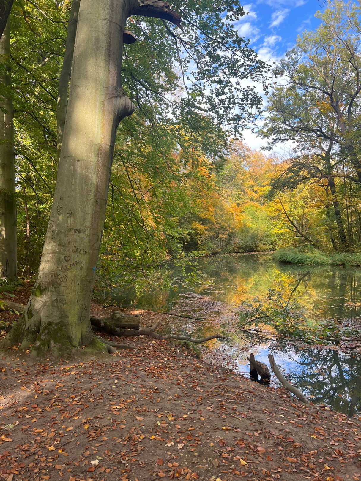 Pleiße (Leipzig) angeln