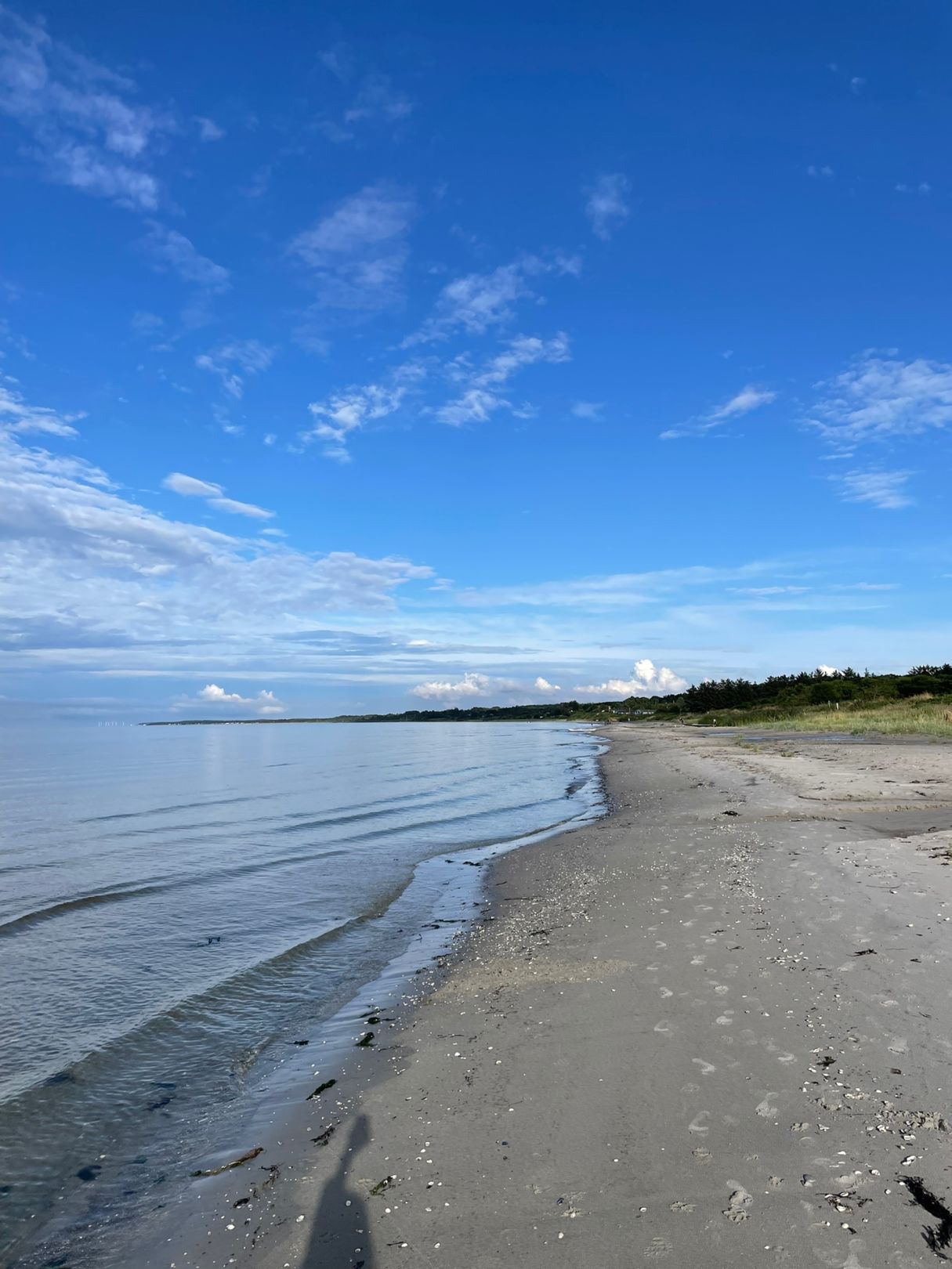 Kattegat (Bønnerup) angeln