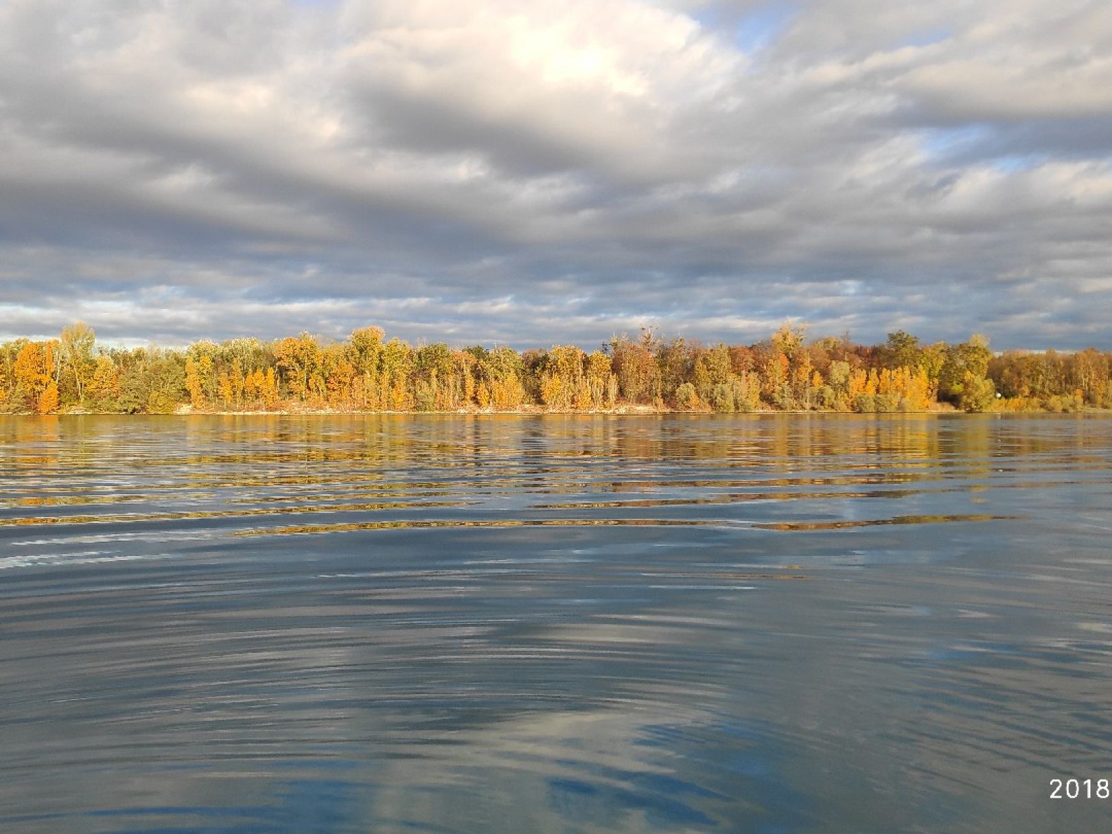 Peterhafen / Peterkanal (Rheinau) angeln