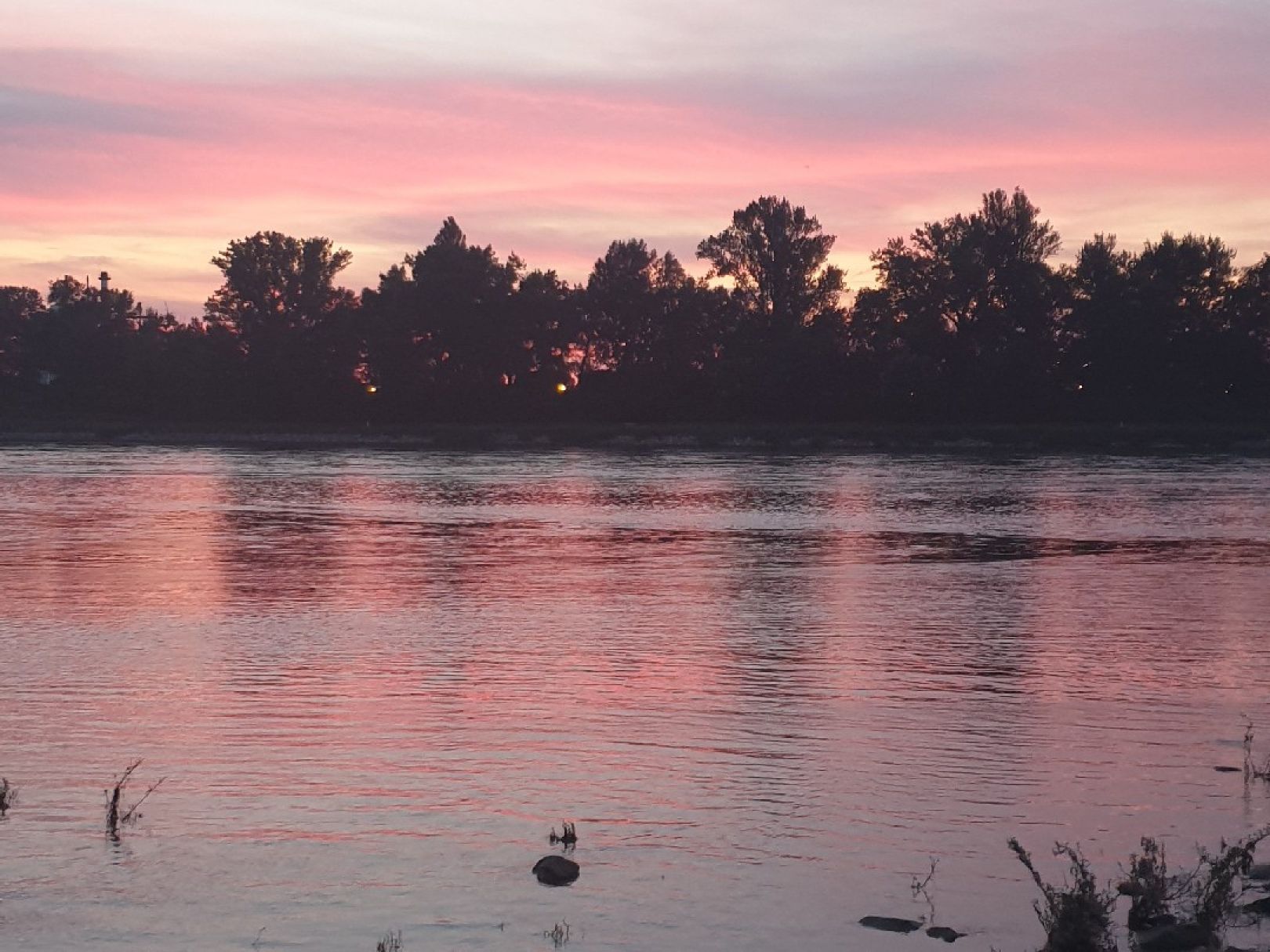 Rhein (Au am Rhein-Neuburgweier) angeln