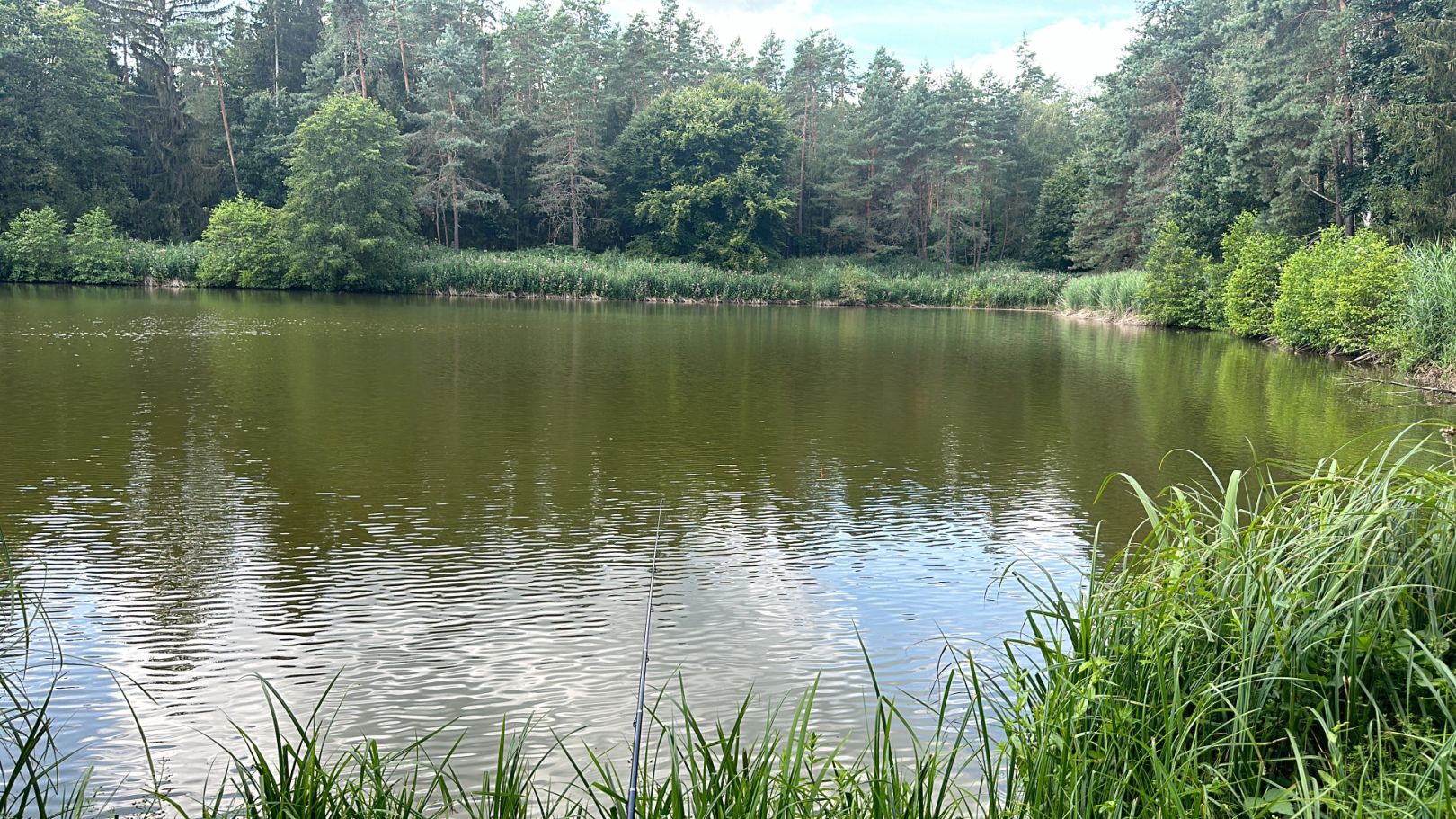 Großer Schmaußweiher angeln