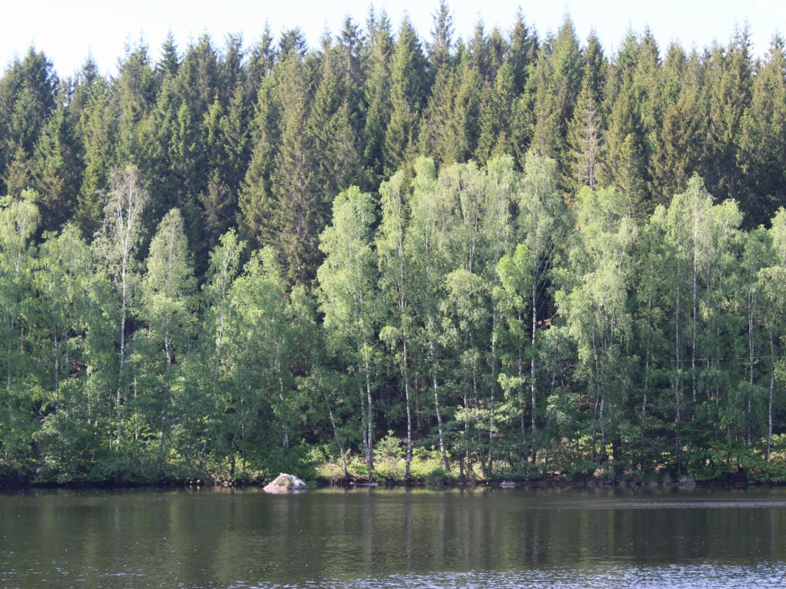 Ätran (Falkenberg) angeln