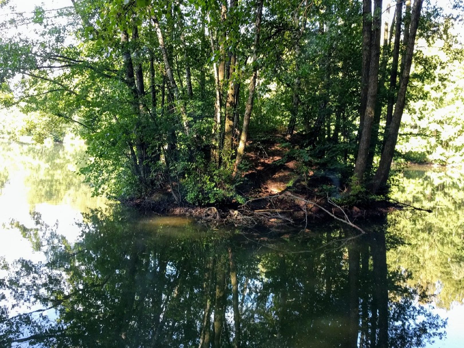 Alte Grube Narsdorf angeln