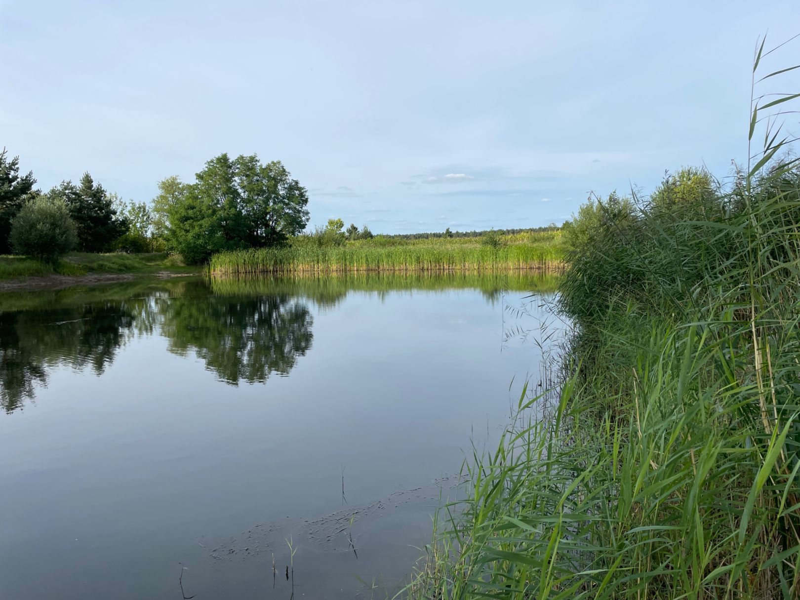 Fischteich Elster (Elbe) angeln