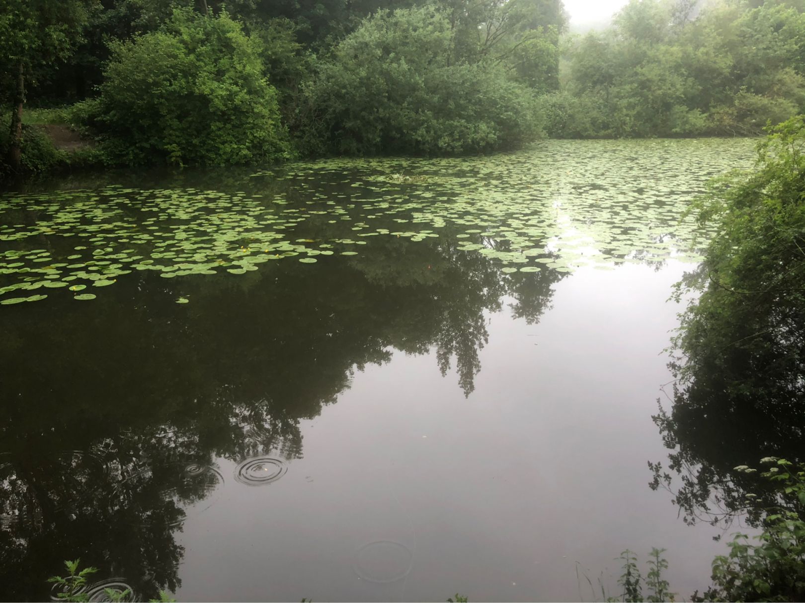 Altarm Drei Eichen (Warendorf) angeln