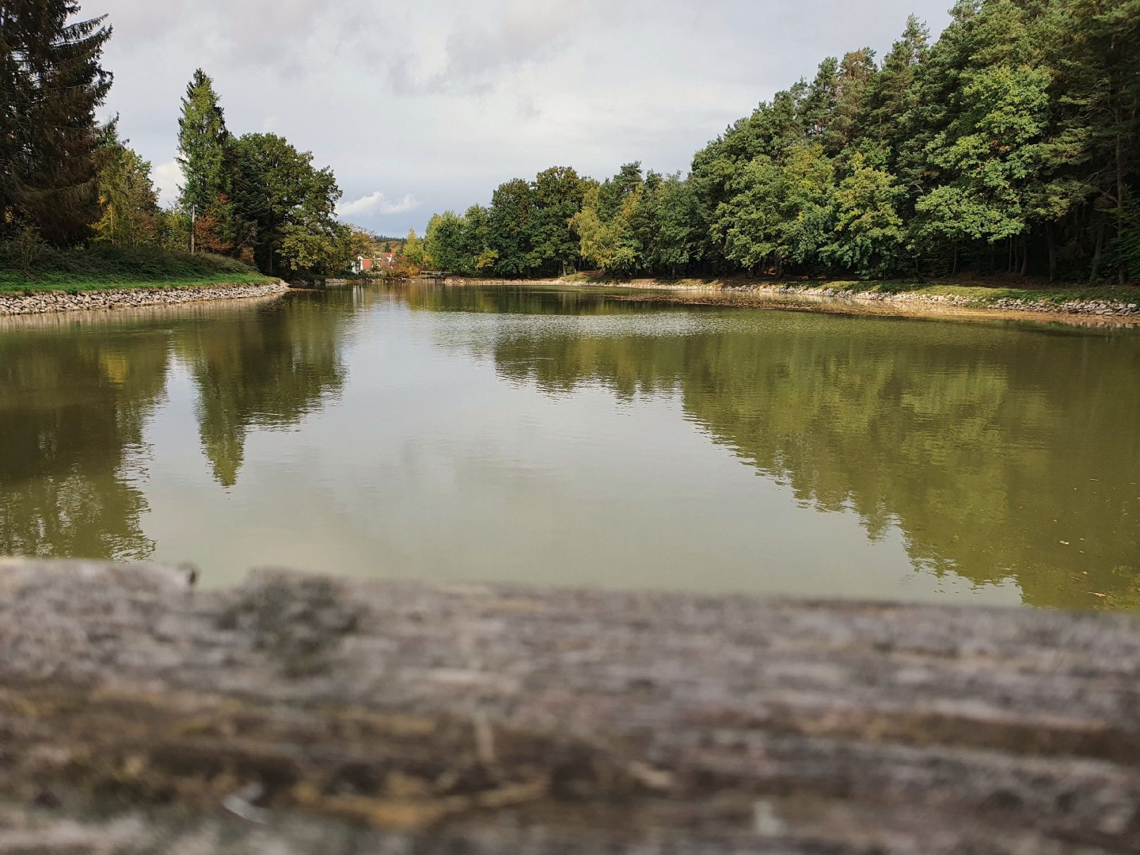 Weiher Thalmannsdorf angeln