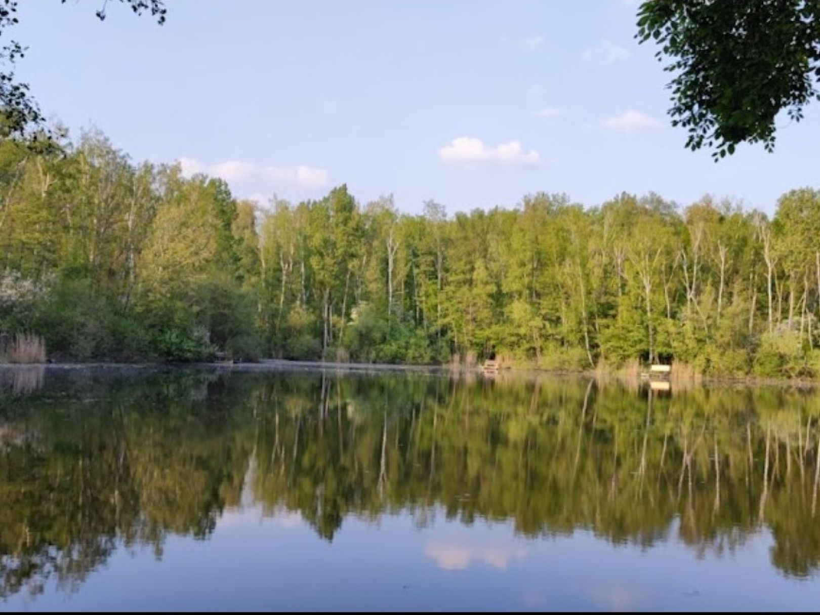 Karauschenweiher (Erftstadt) angeln