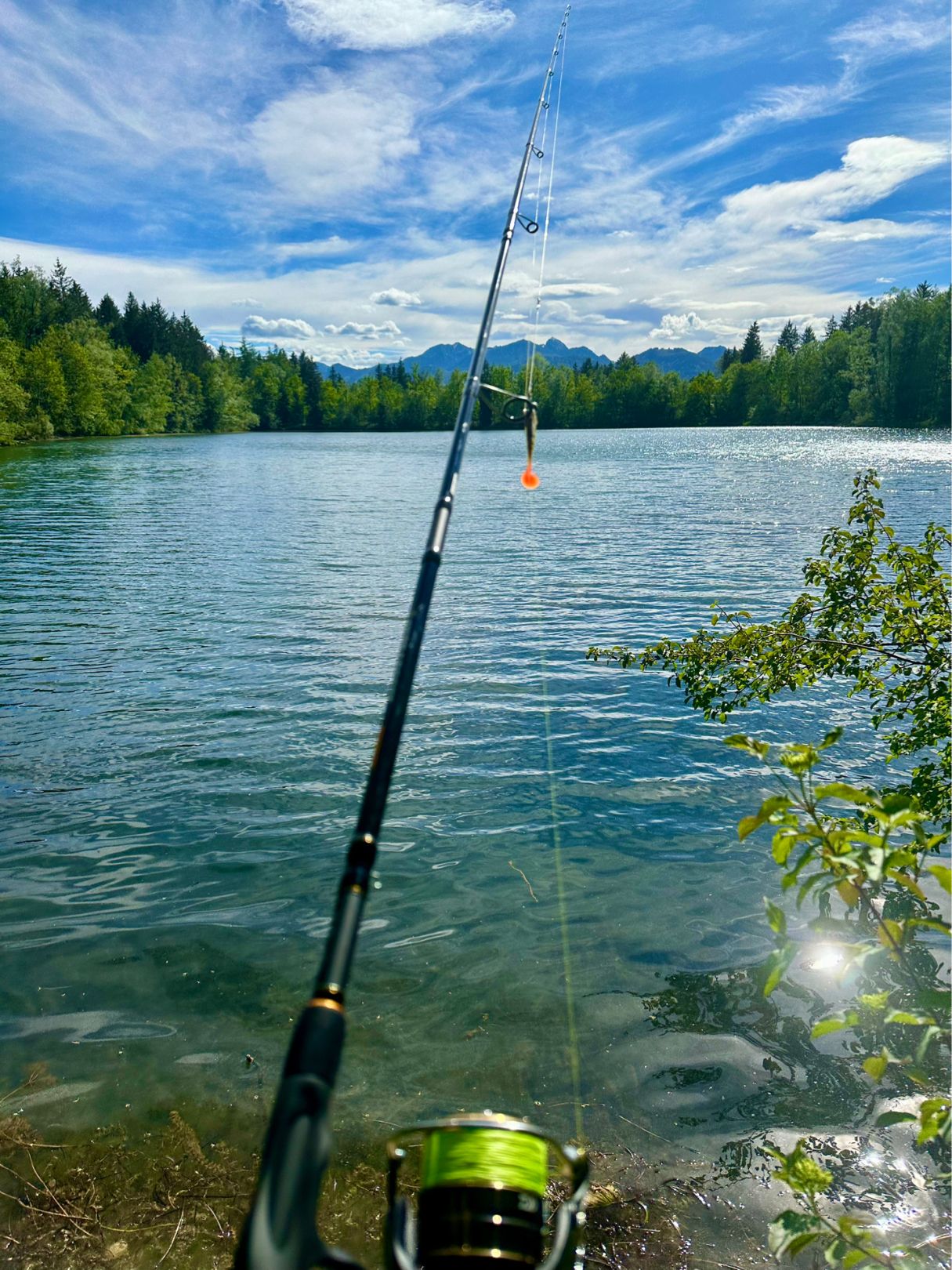 Jagdhaussee (Rohrdorf) angeln