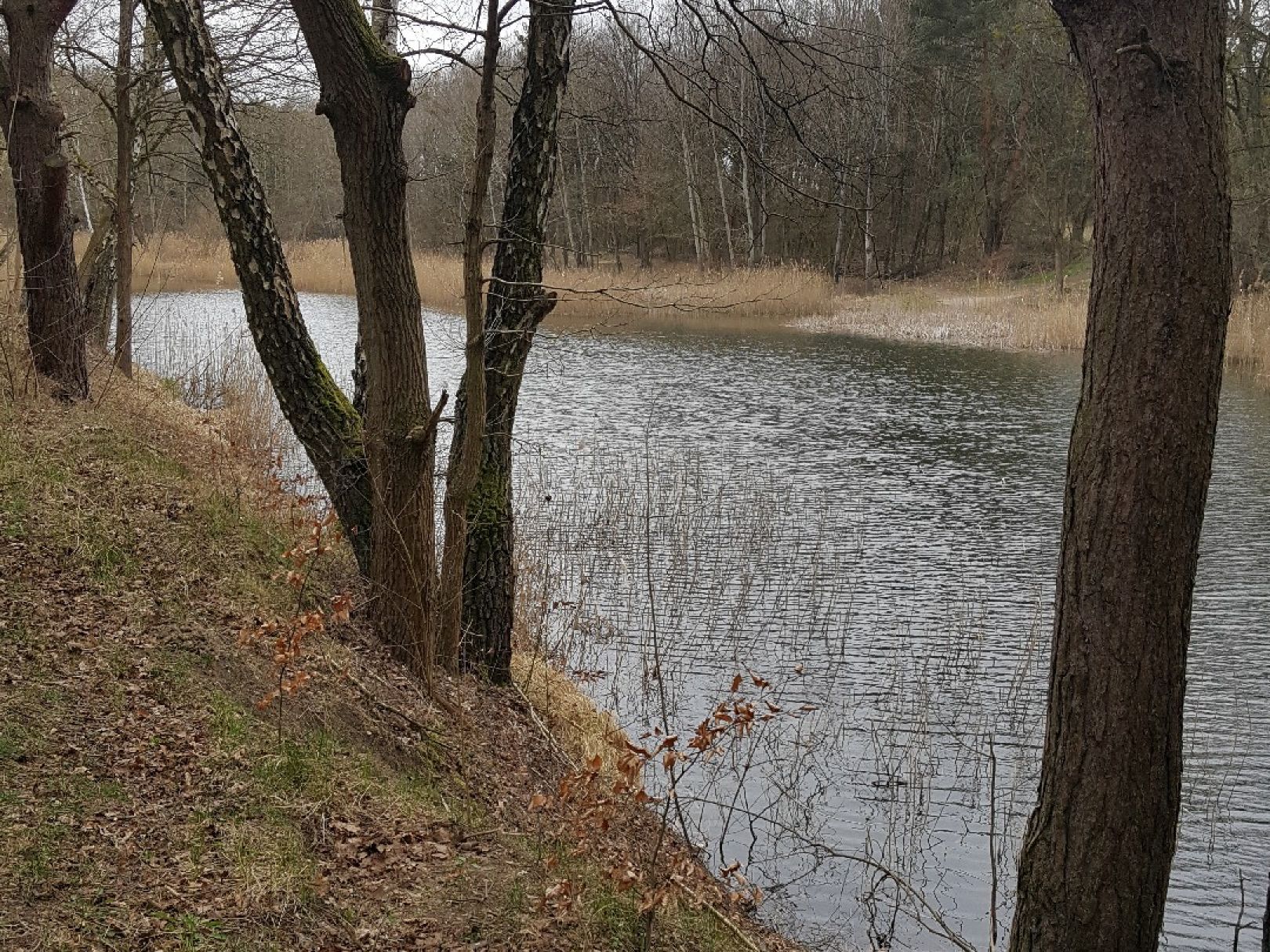 Sommerfelder Kiesgrube angeln