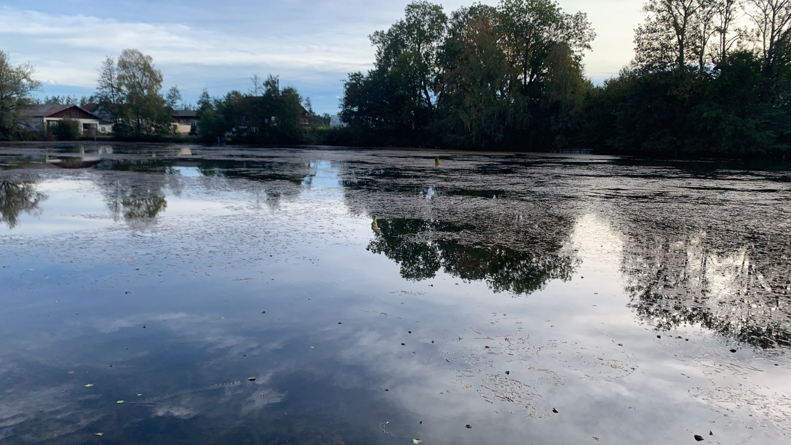 Dießner Weiher (Waal) angeln