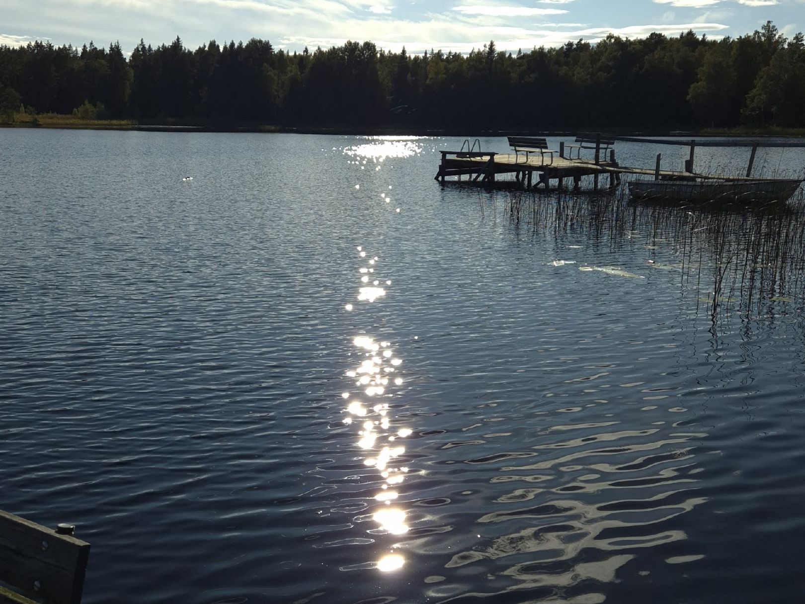 Godebrunnasjön angeln