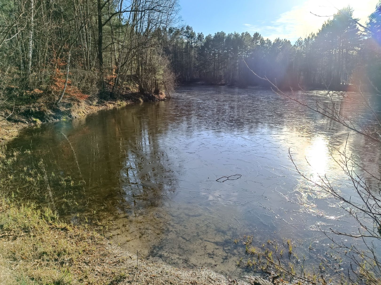 Wachholderteich (Faßberg) angeln