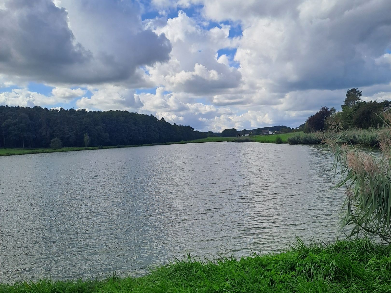 Mitteldorfer Weiher (Weisendorf) angeln