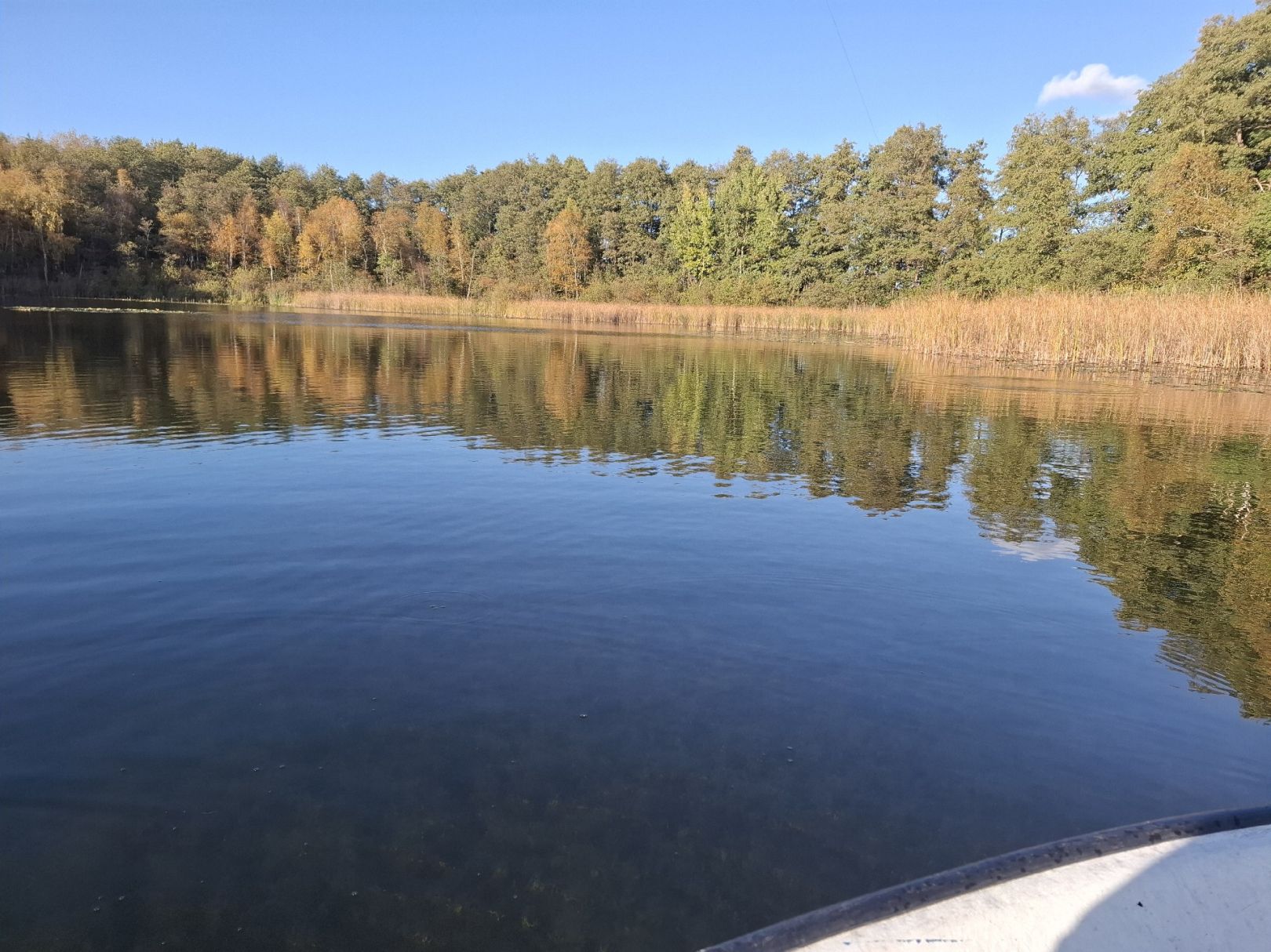 Alter Dorfsee (Krakow am See) angeln