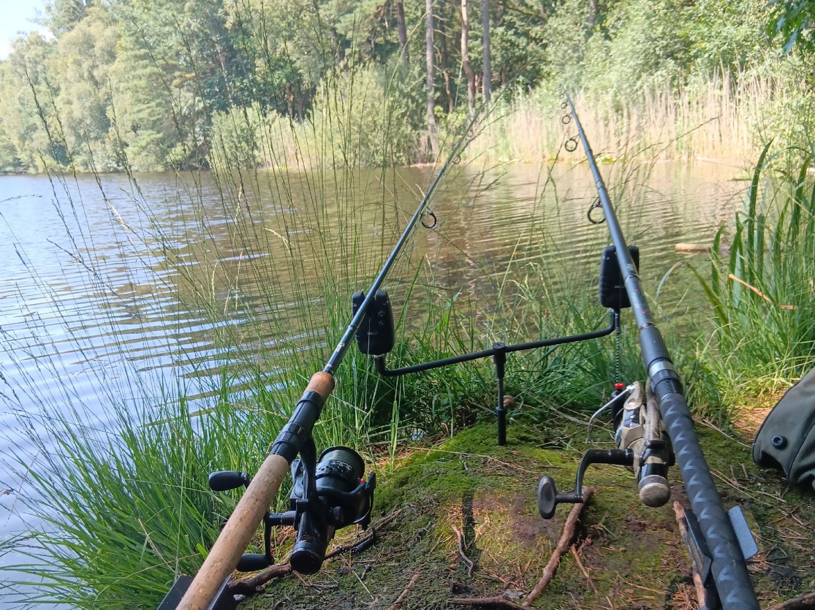 Rüenberger Teich angeln