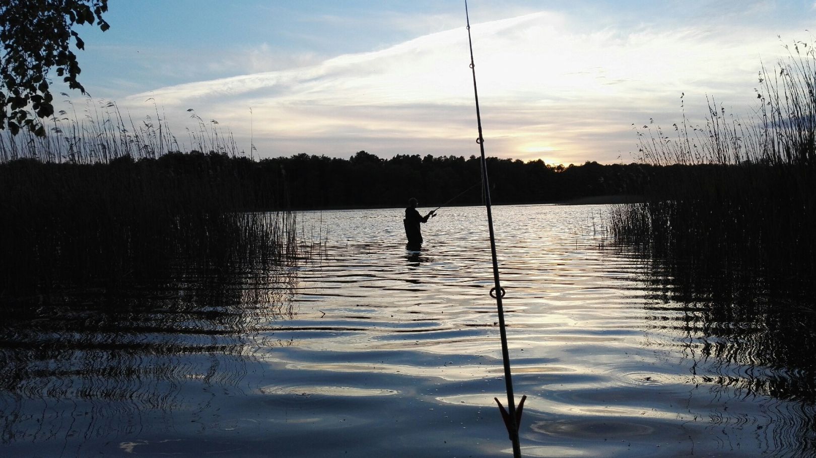 Leppinsee angeln