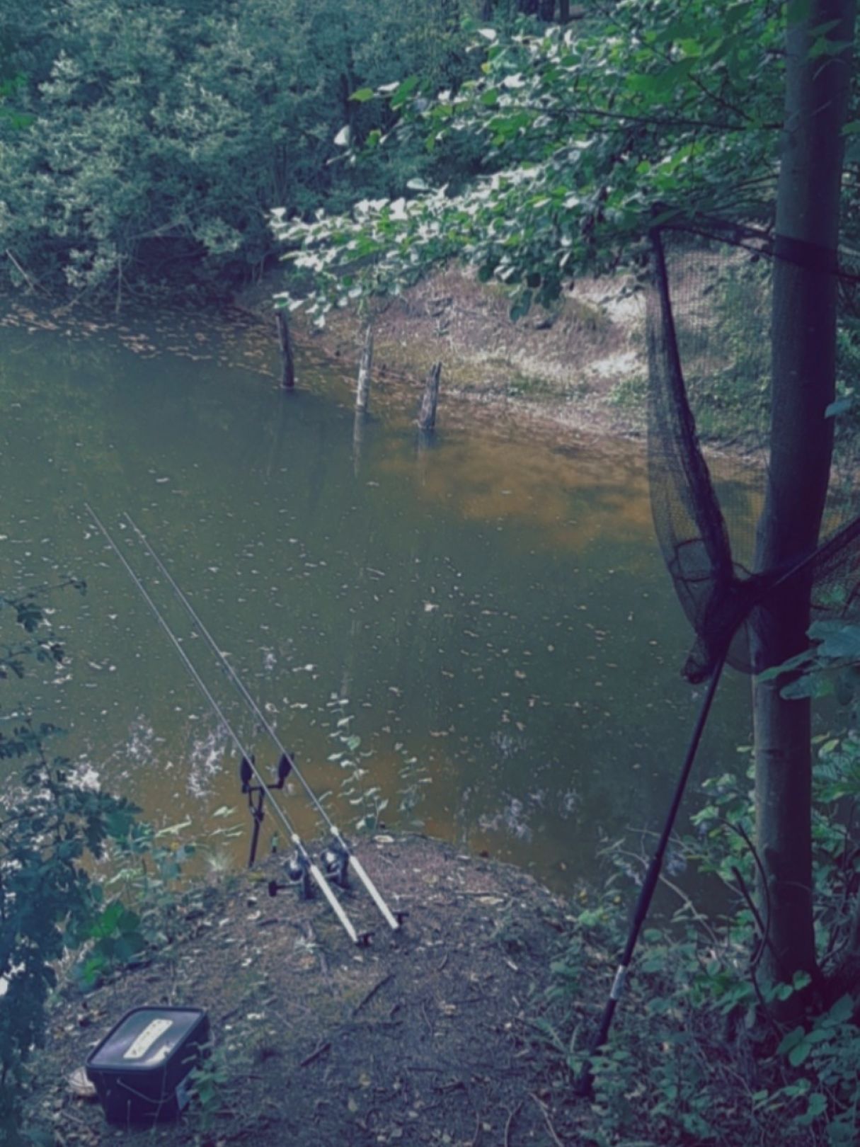 Waldsee Lünne angeln