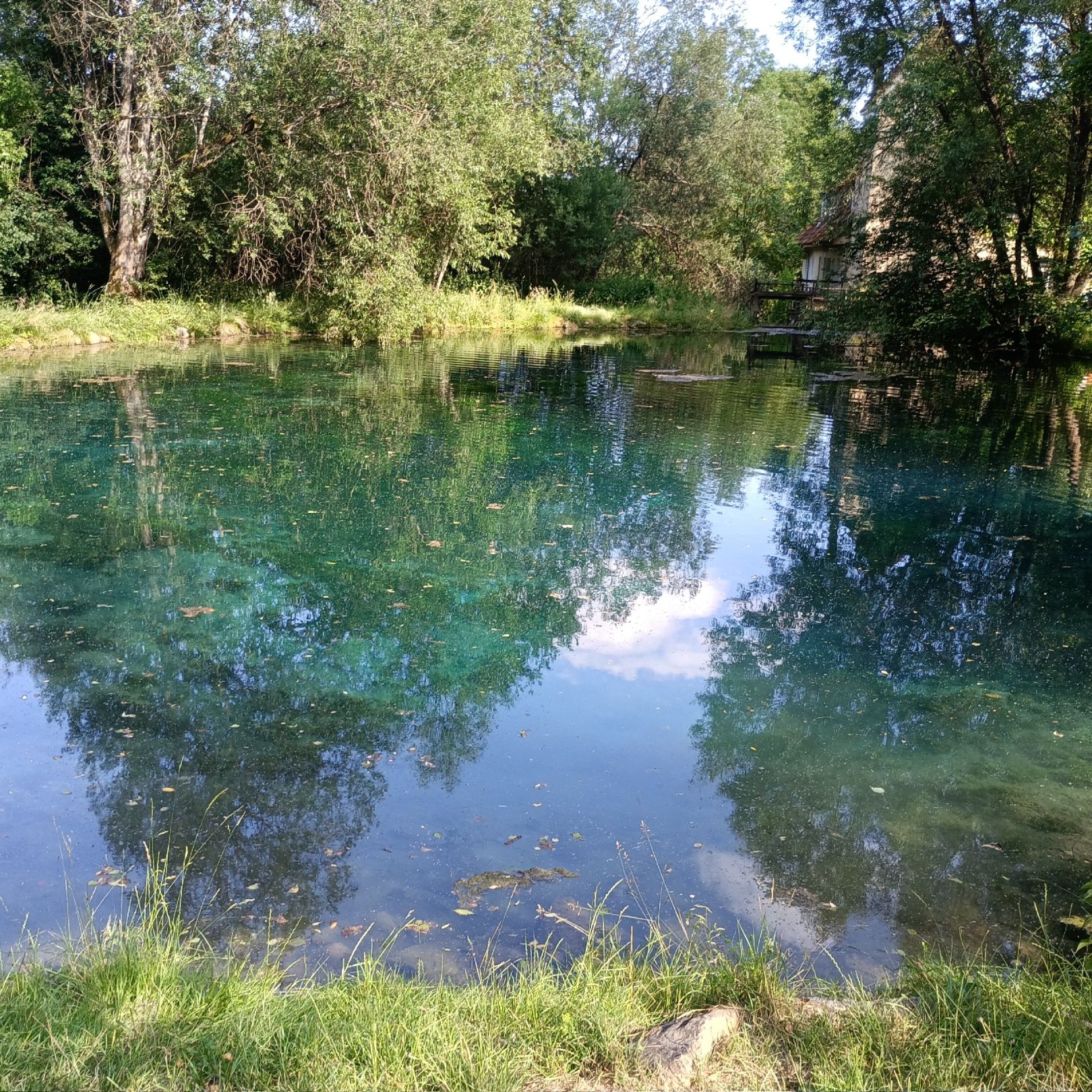 Ach (Schelklingen) angeln