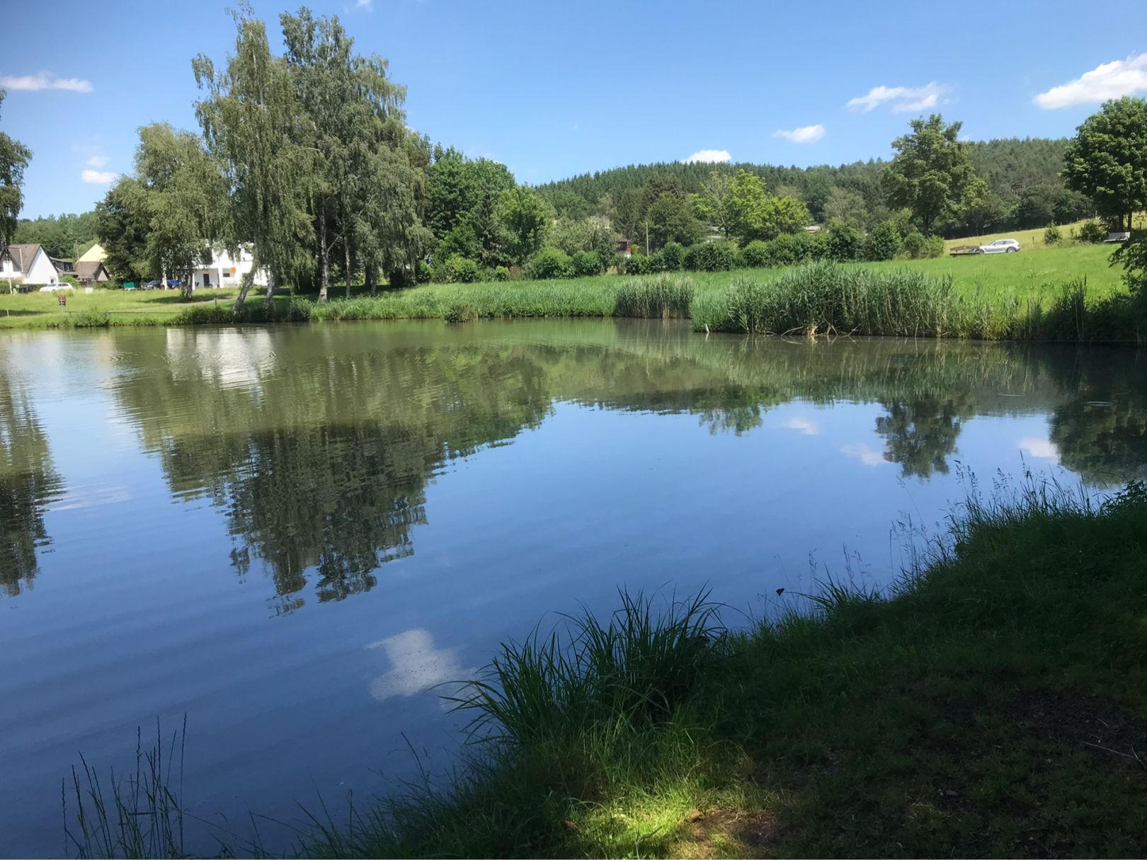 Stauweiher Dohm-Lammersdorf angeln