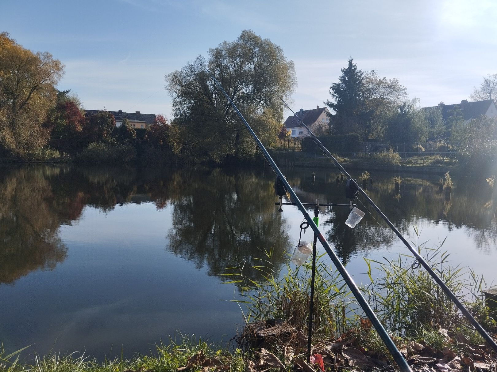 Lokbad (Frankfurt/Oder) angeln