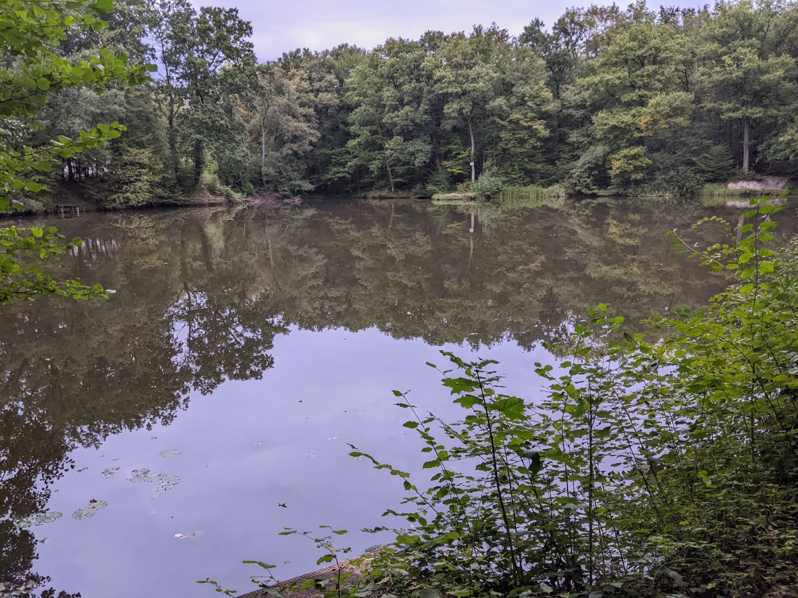 Paffrather Weiher angeln