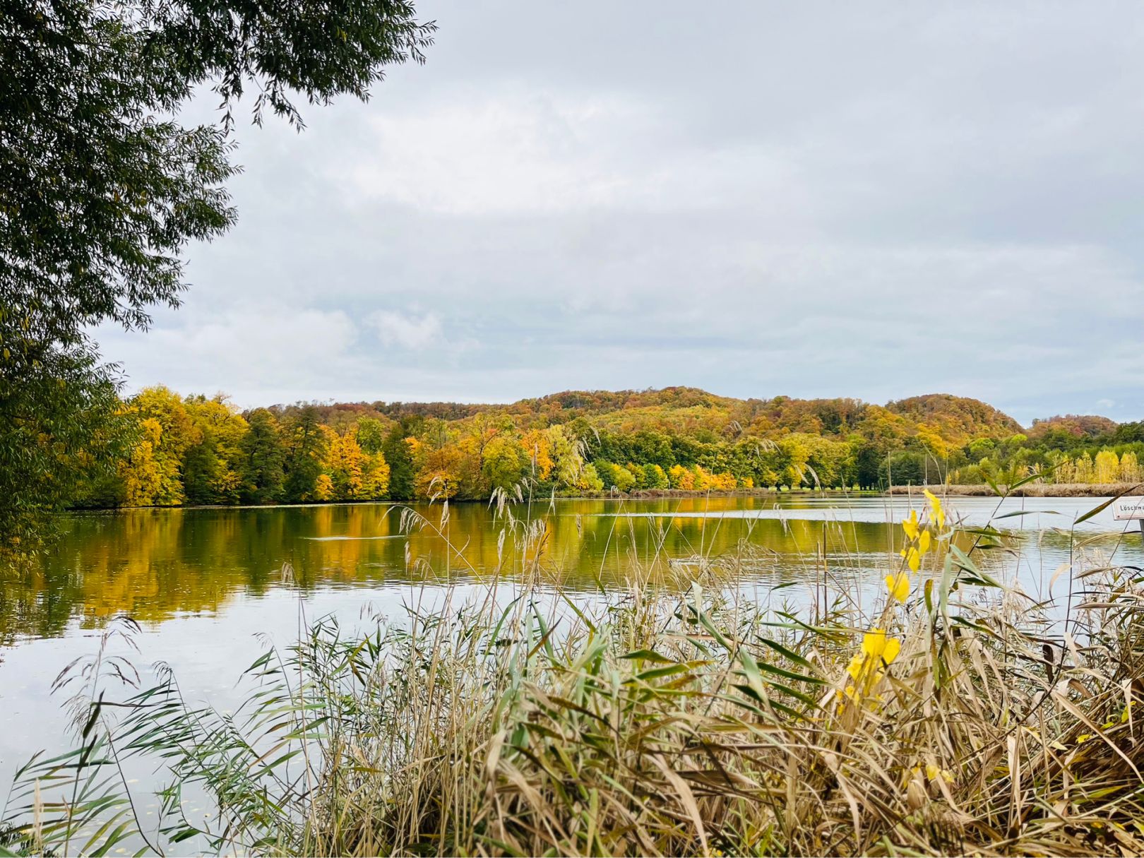 Schloßteich Rottleberode angeln