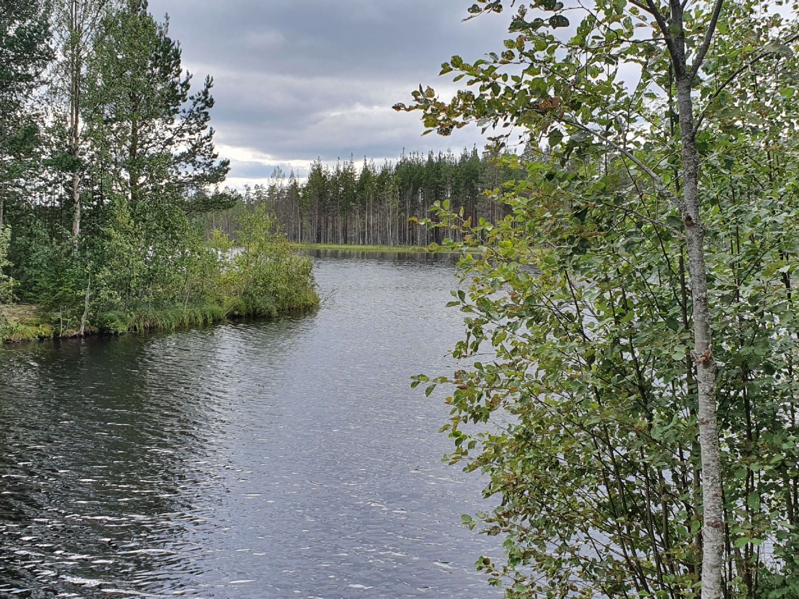 Tranusjön angeln