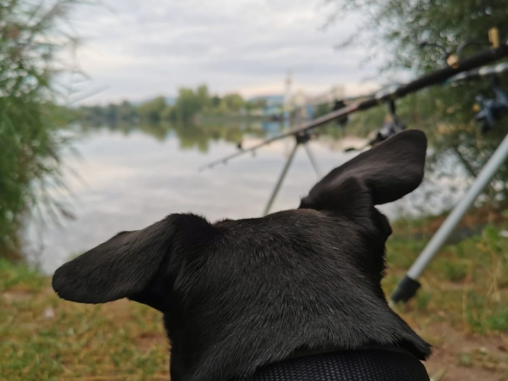 Baggersee bei Sand am Main angeln