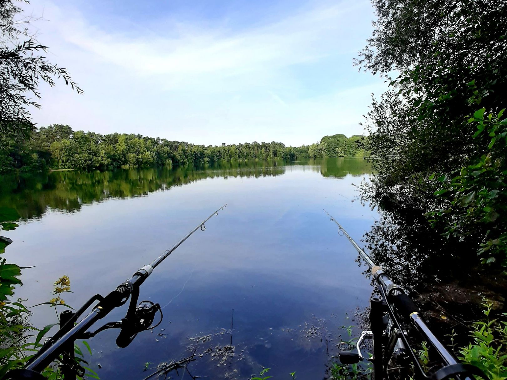 Westholtsee (Greffener Mark) angeln