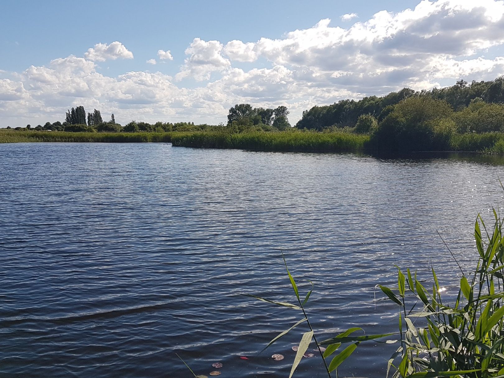 Torfstiche im Roskower Lötz angeln