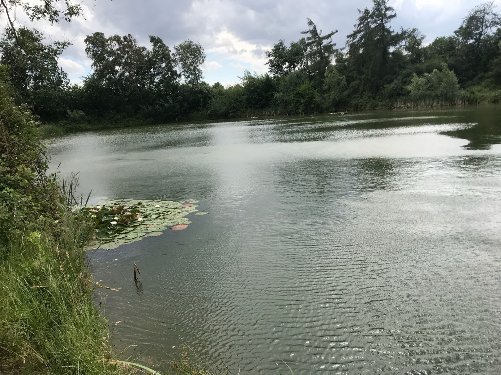 Holungsbügelteich angeln