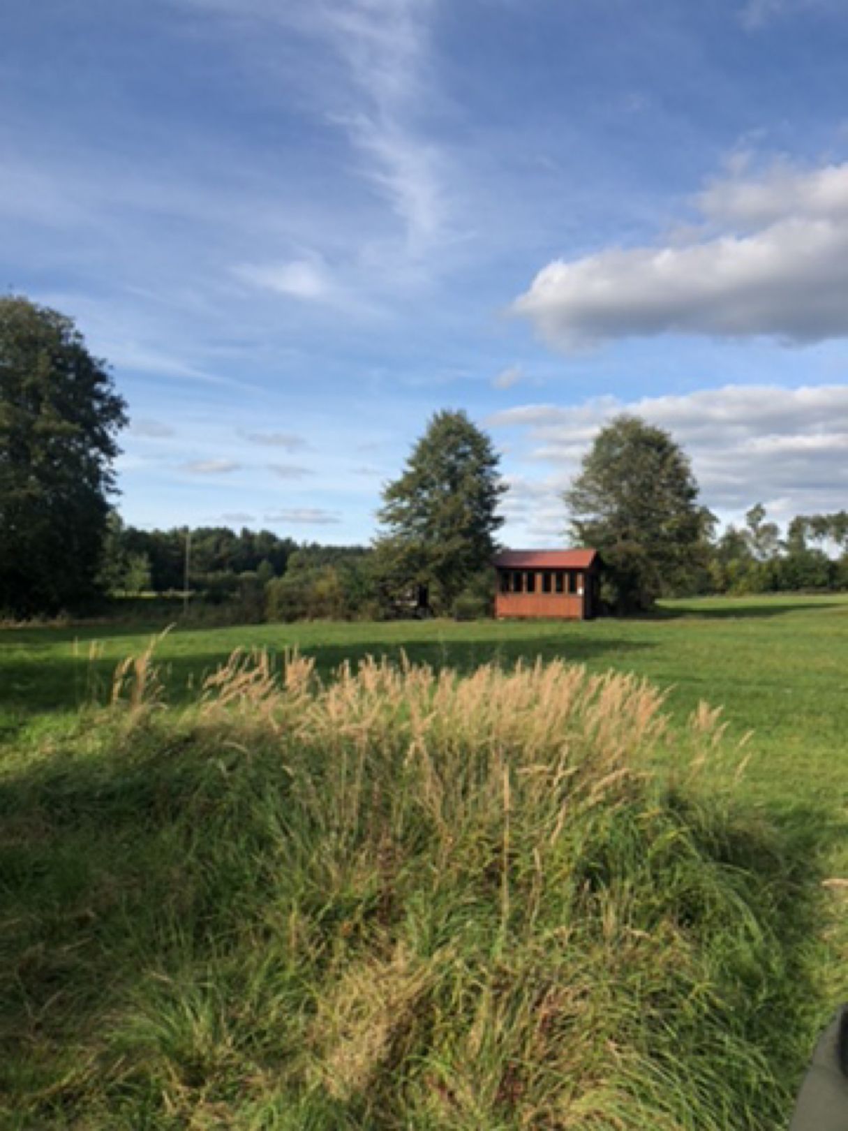 Rußhüttenweiher angeln