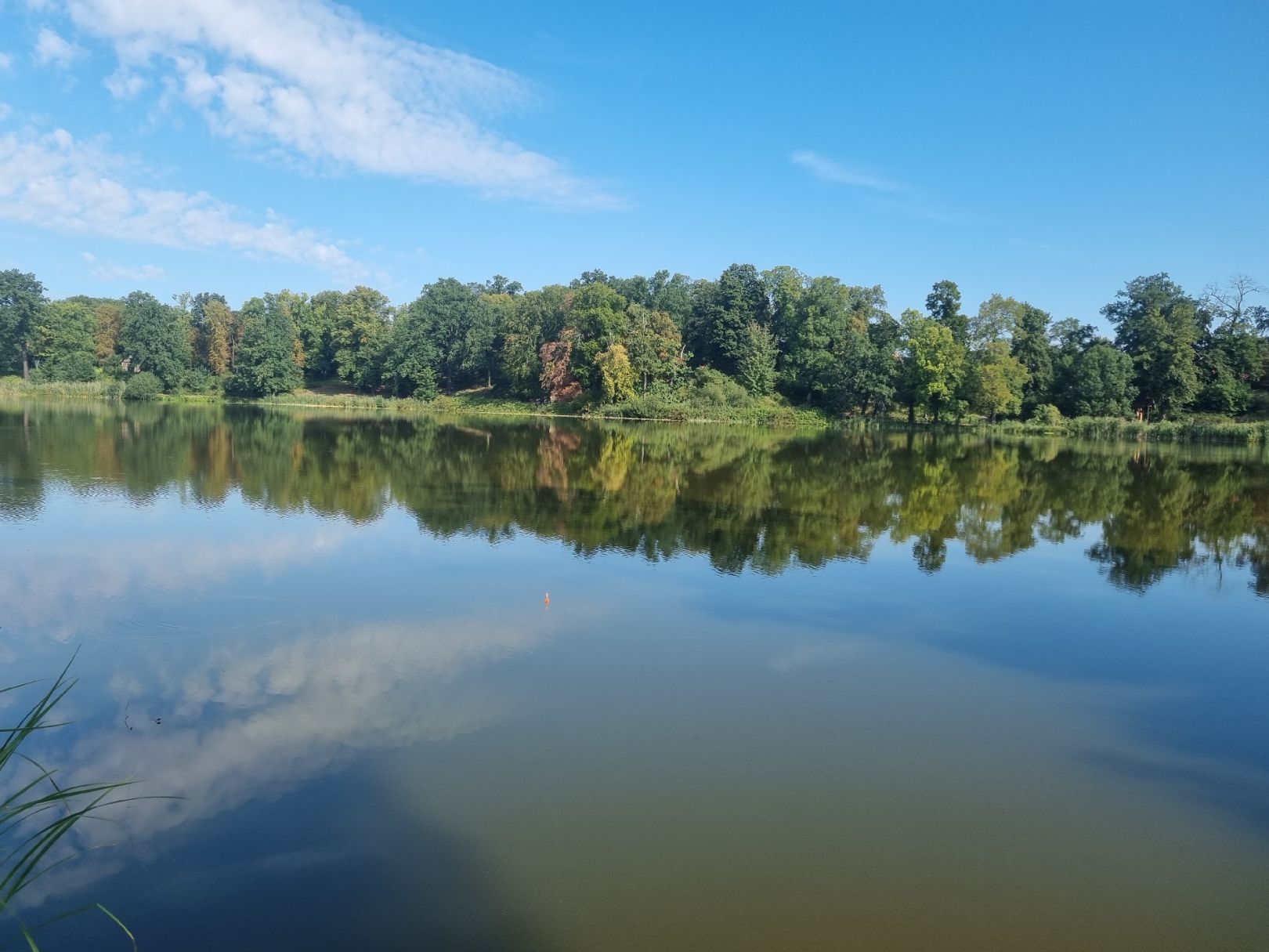 Haussee (Petzow) angeln