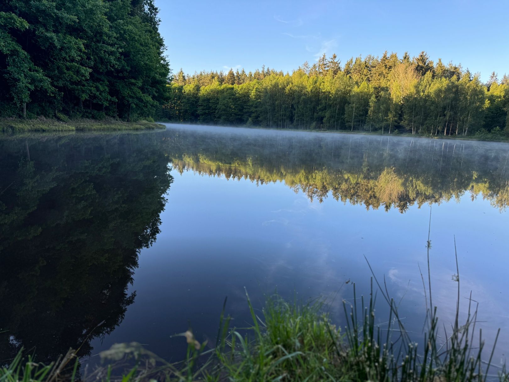 Gehteich (Selb) angeln