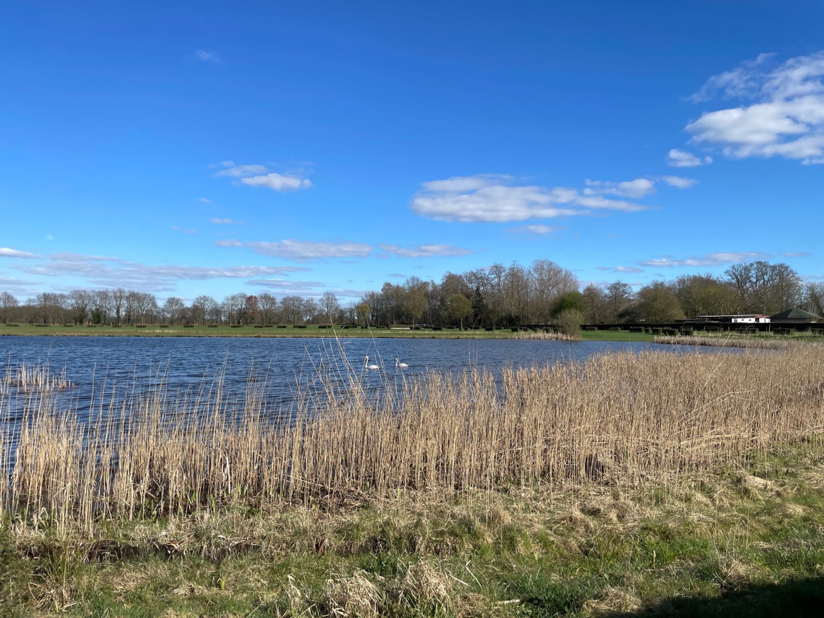 Rennplatzteich (Quakenbrück) angeln