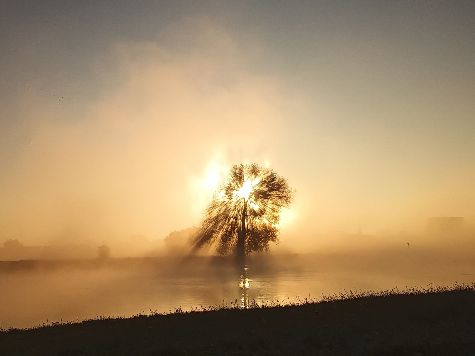 Ijssel (Zutphen) angeln