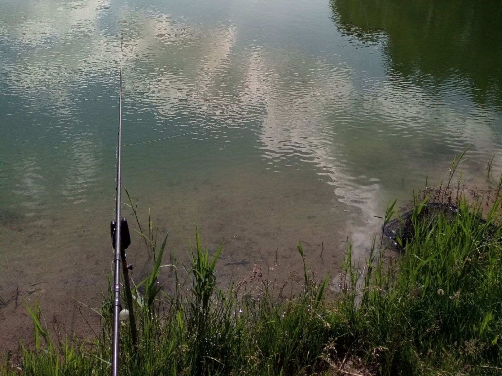 Fischzucht Mindeltal angeln