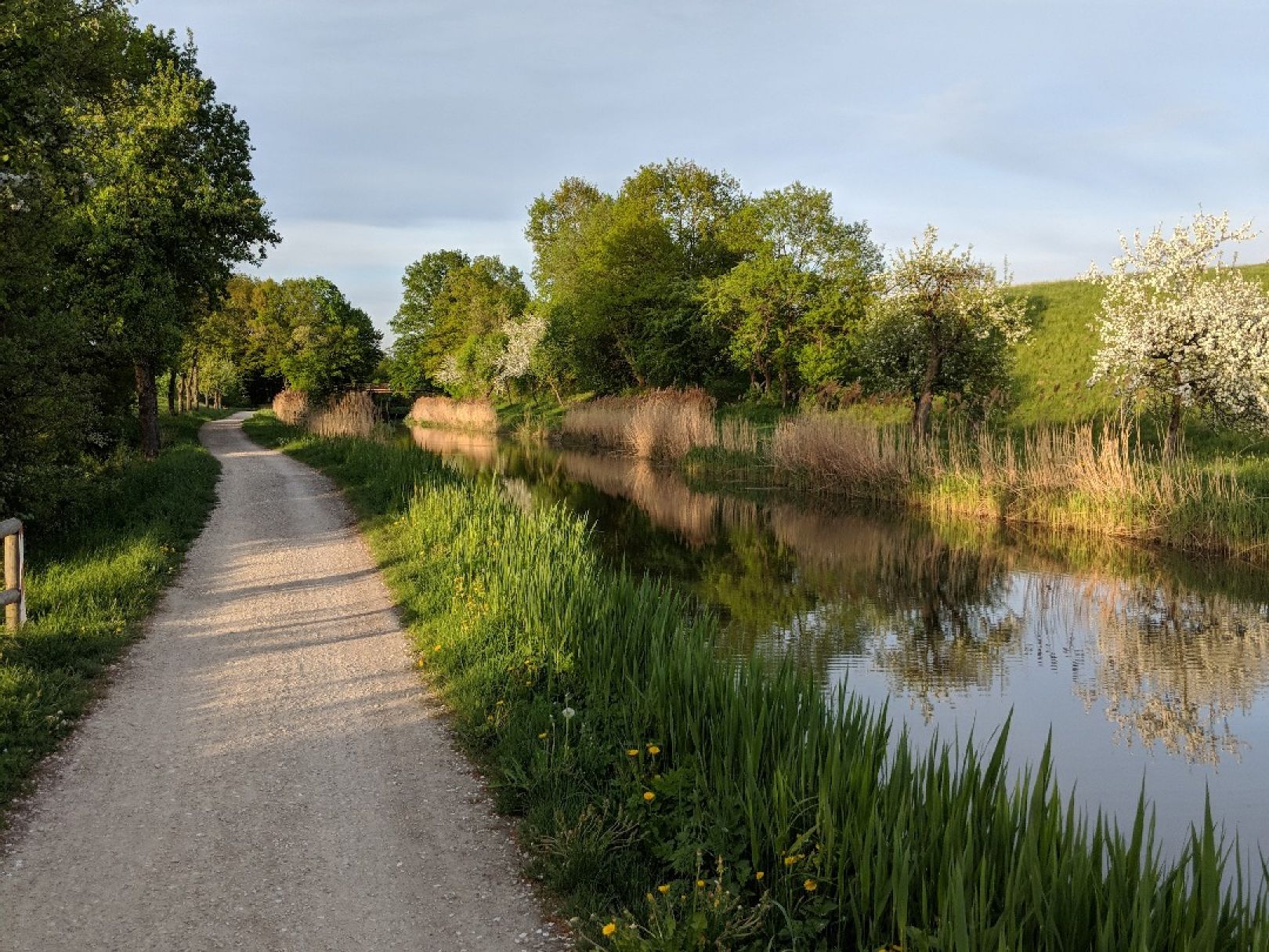 Ludwig-Donau-Main-Kanal (Schwarzenbach) angeln