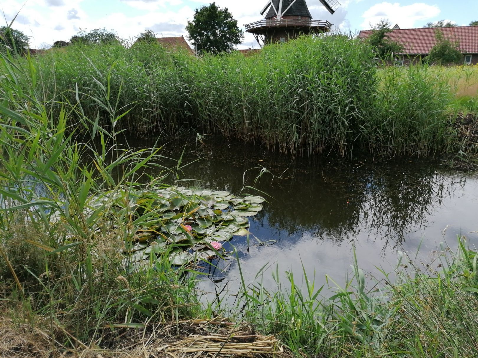 Löschteich Schweindorf angeln