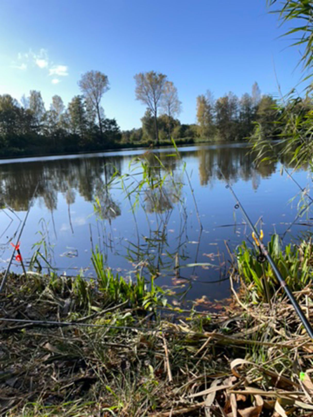 Ziegeleiteich 2 (Wietzendorf) angeln