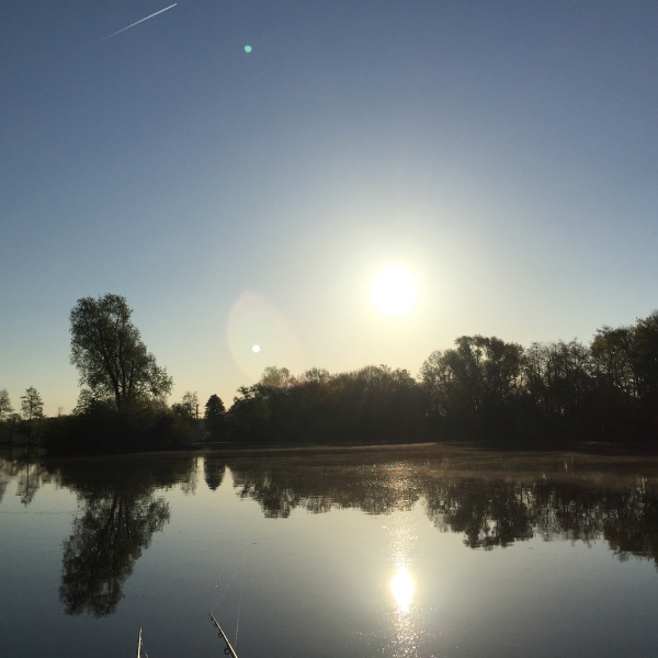 Ellernbruchsee angeln