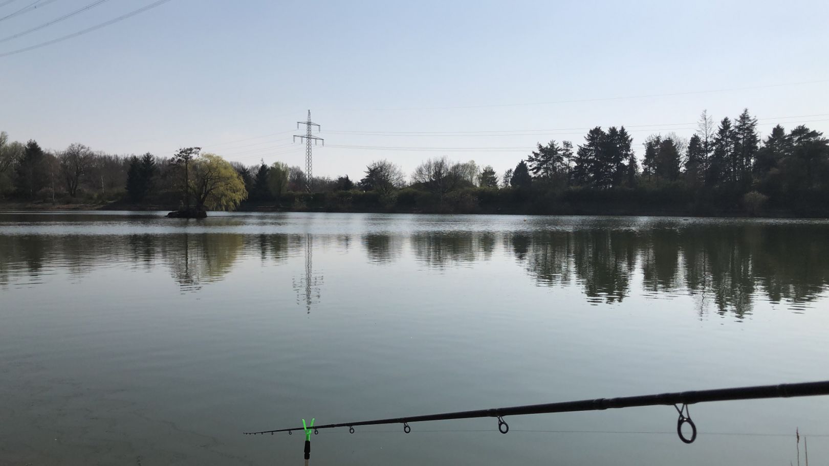 Vereinsee ASV Bischofsheim angeln