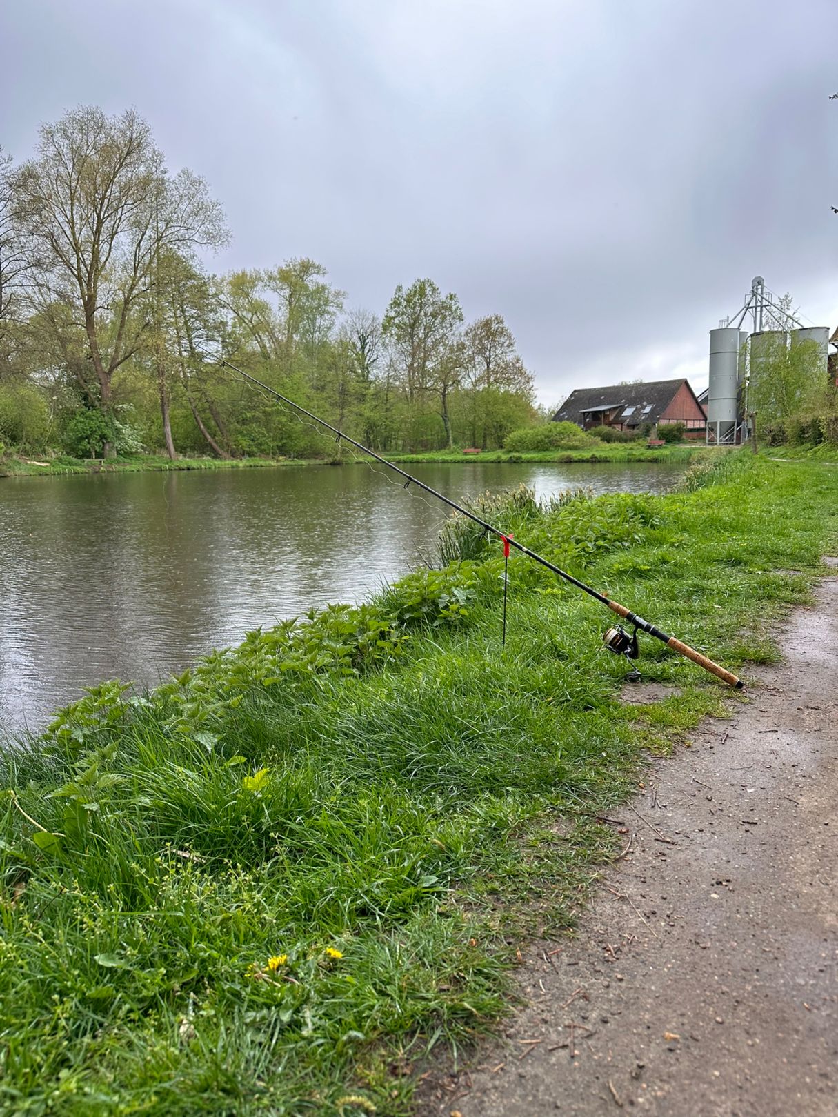 Mühlenteiche (Scharnebeck) angeln