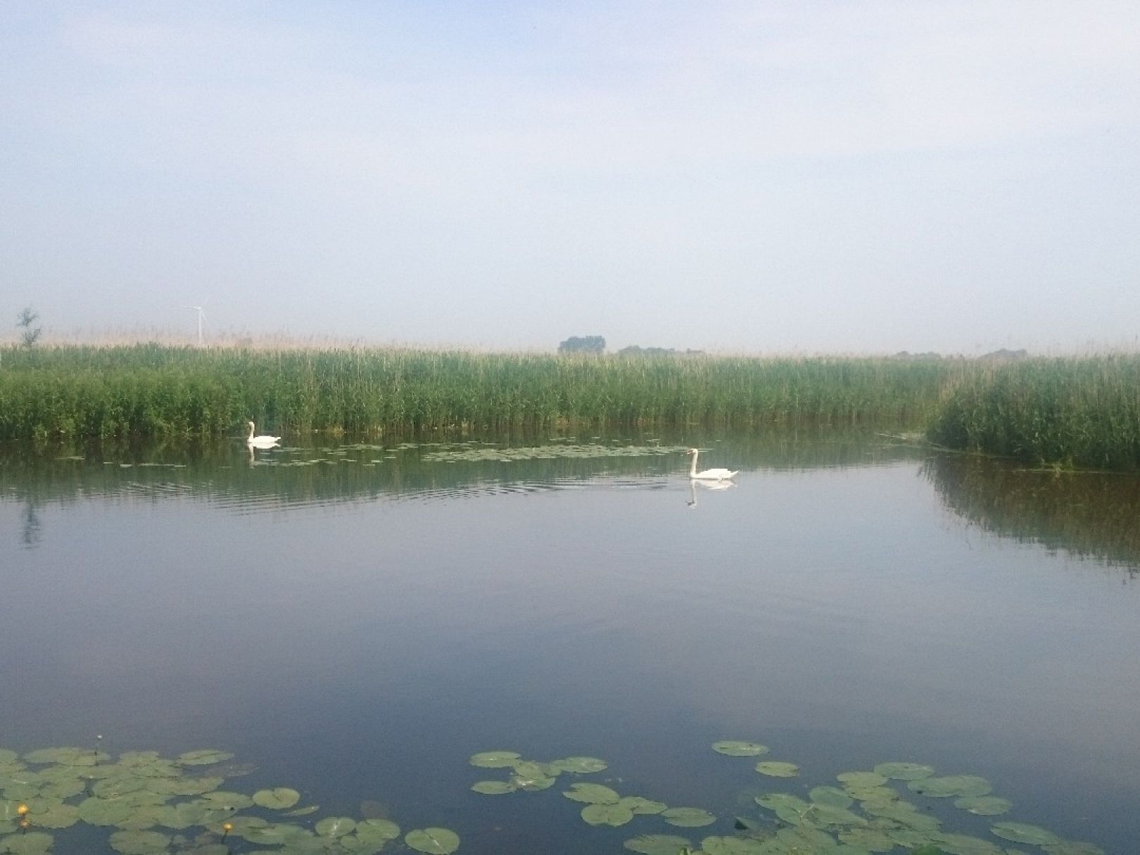 Polder bei Anna Paulowna angeln