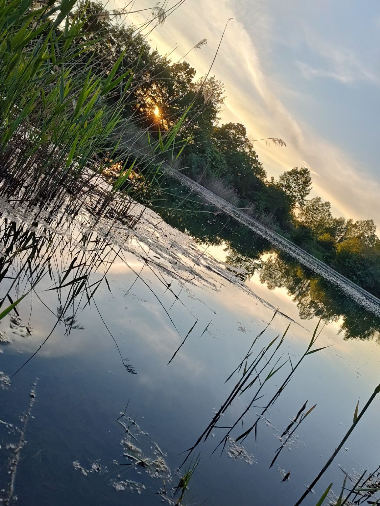 Vogelwaldsee (St. Leon-Rot) angeln