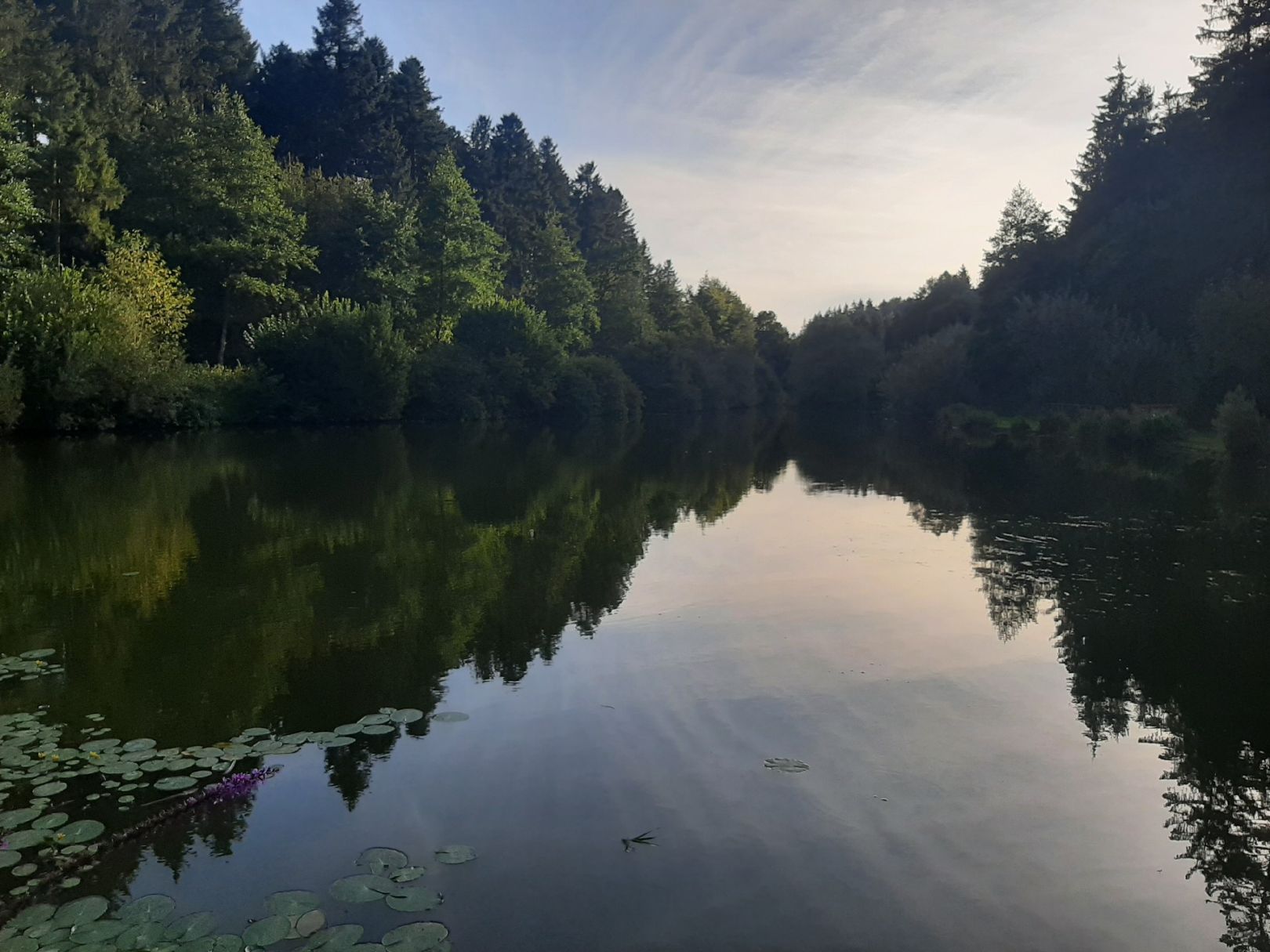 Fischweiher Talheim angeln