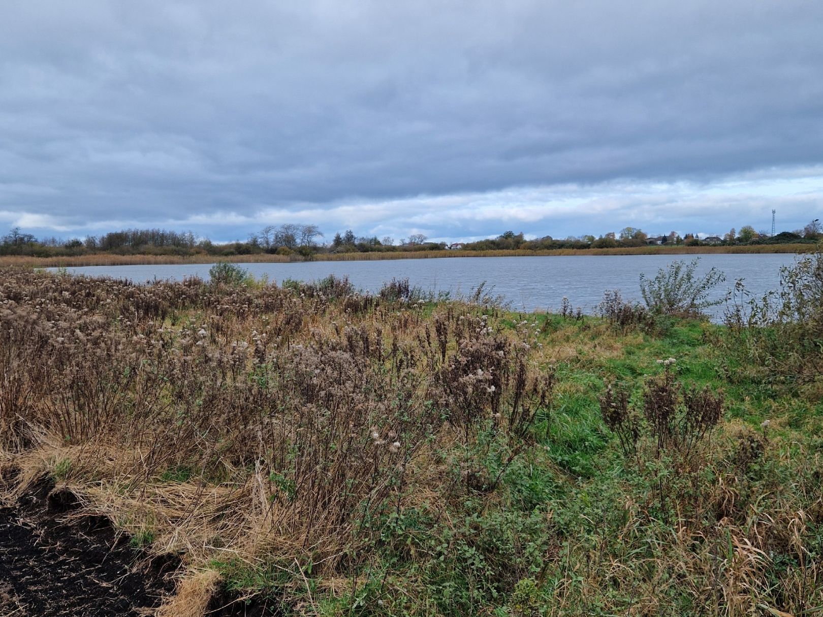 Rethwischer Torfmoor angeln